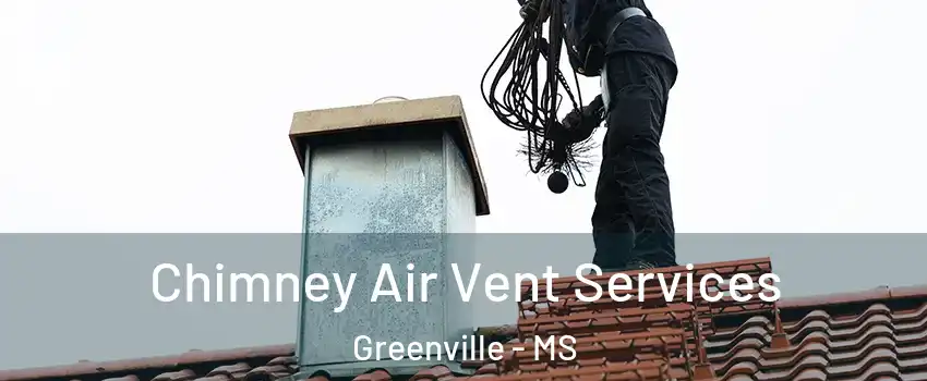  Chimney Air Vent Services Greenville - MS