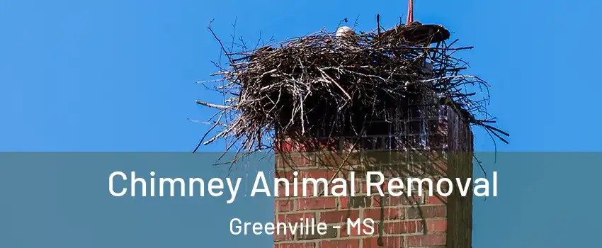 Chimney Animal Removal Greenville - MS