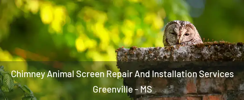  Chimney Animal Screen Repair And Installation Services Greenville - MS