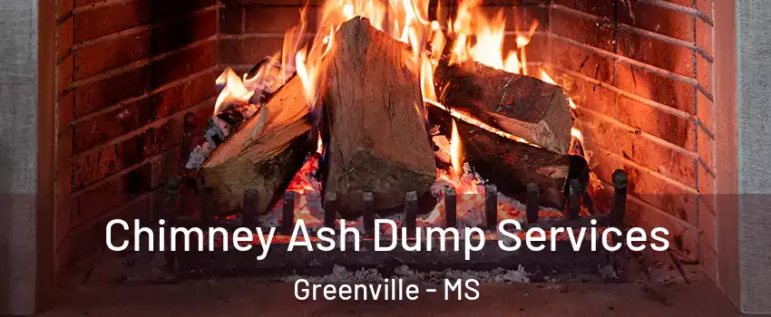  Chimney Ash Dump Services Greenville - MS