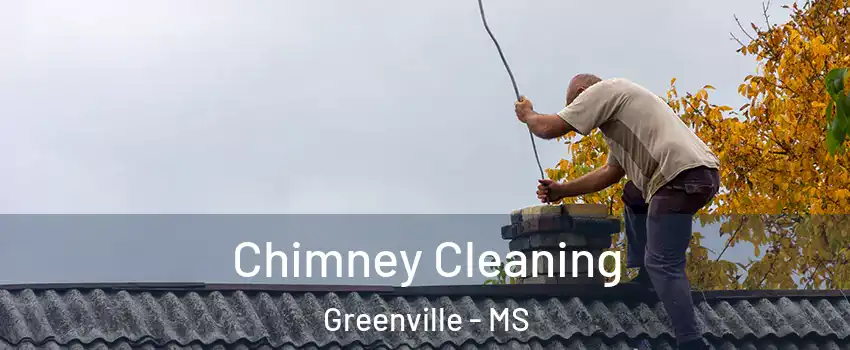  Chimney Cleaning Greenville - MS