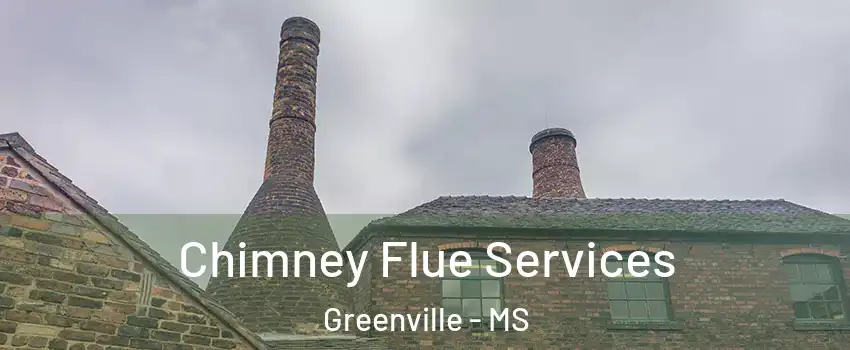  Chimney Flue Services Greenville - MS