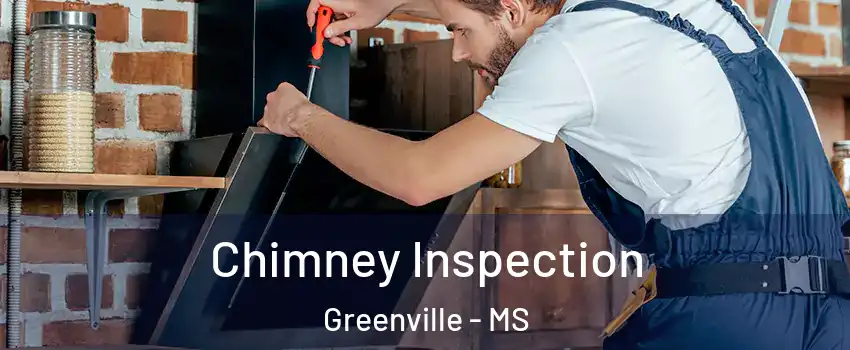  Chimney Inspection Greenville - MS