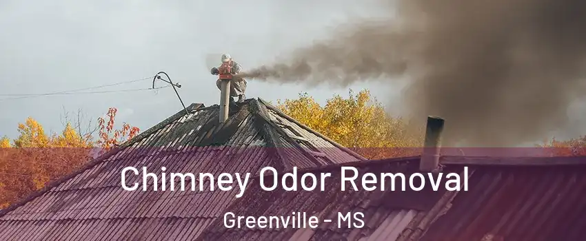  Chimney Odor Removal Greenville - MS