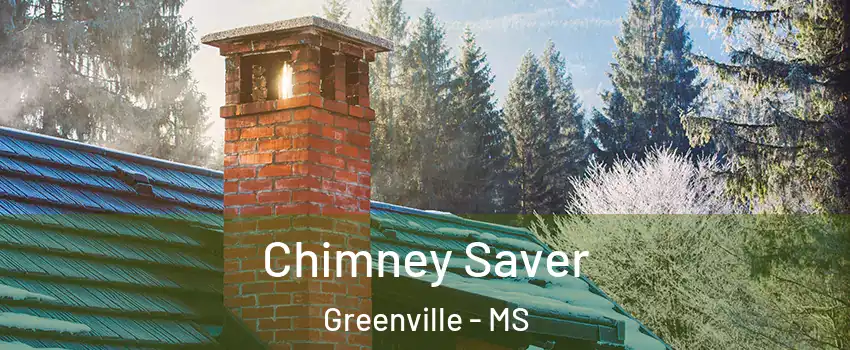  Chimney Saver Greenville - MS