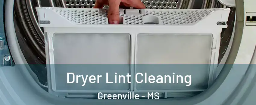  Dryer Lint Cleaning Greenville - MS