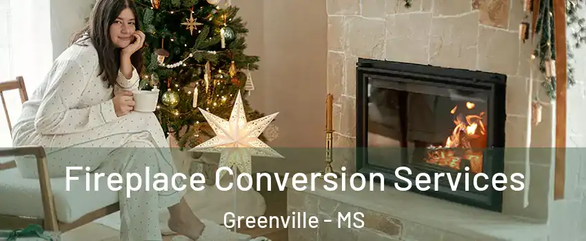  Fireplace Conversion Services Greenville - MS