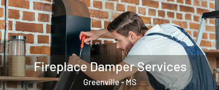  Fireplace Damper Services Greenville - MS
