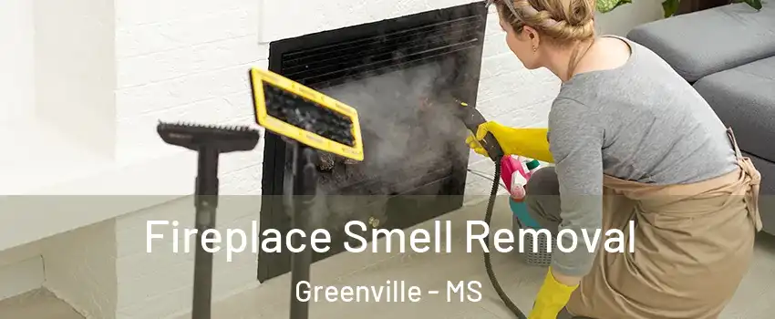  Fireplace Smell Removal Greenville - MS