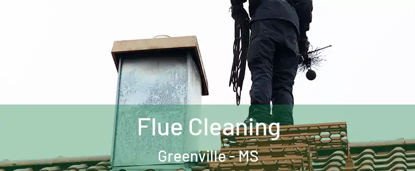 Flue Cleaning Greenville - MS