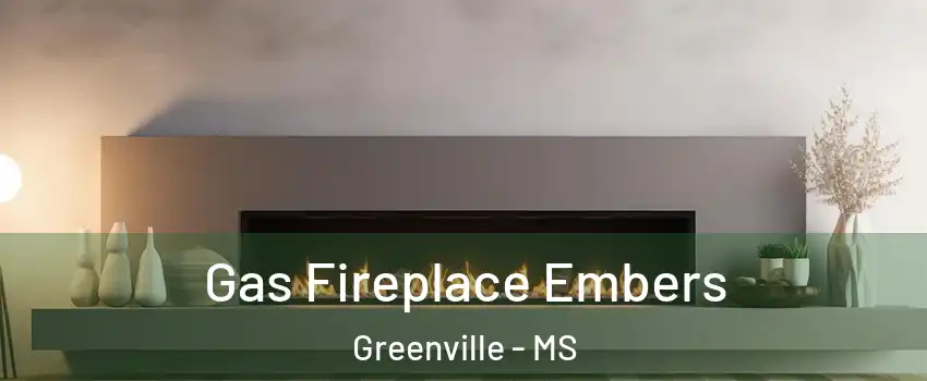  Gas Fireplace Embers Greenville - MS