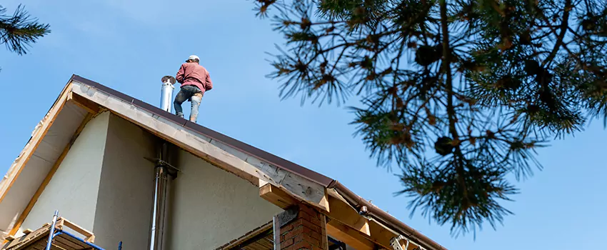 Birds Removal Contractors from Chimney in Greenville, MS