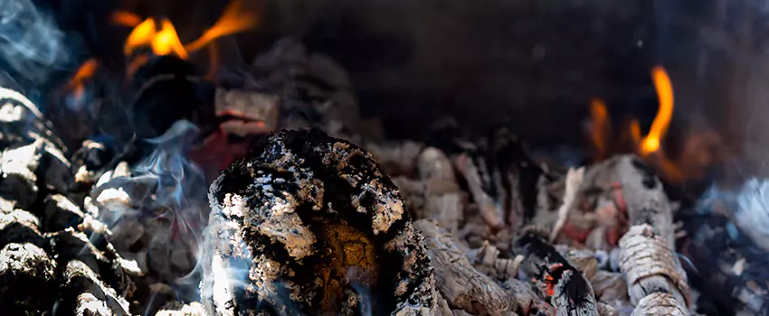 Creosote Removal Experts in Greenville, MS