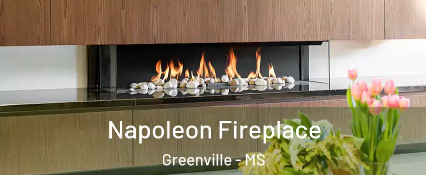  Napoleon Fireplace Greenville - MS