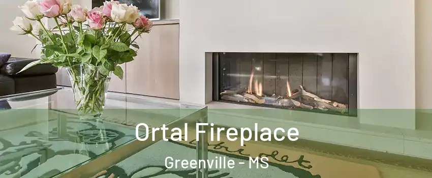 Ortal Fireplace Greenville - MS