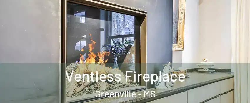  Ventless Fireplace Greenville - MS